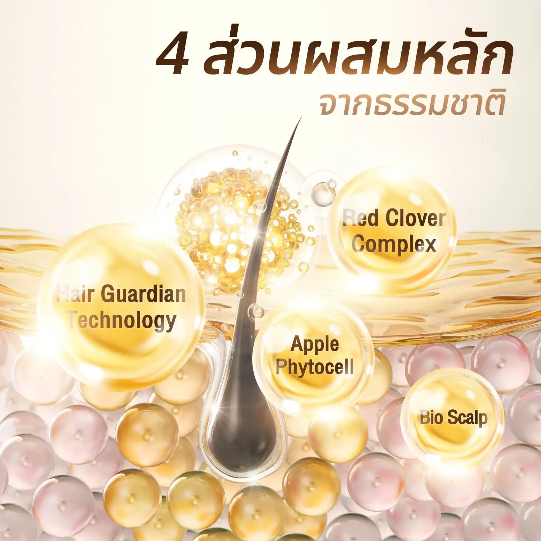 Evercare Product 7